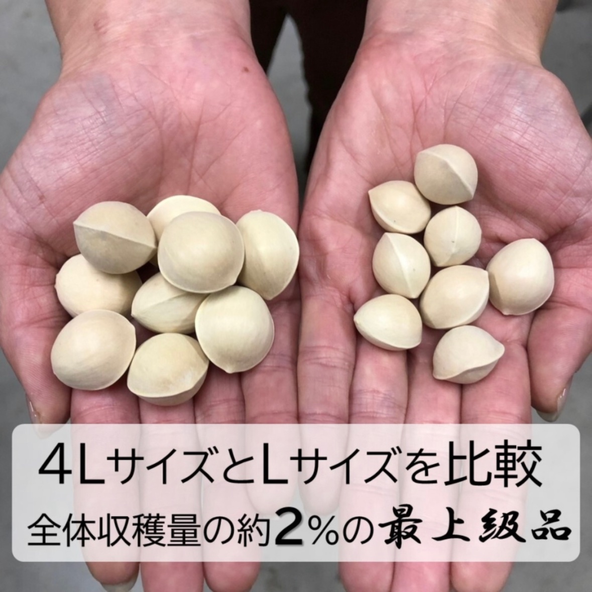a09a45bcfdc8e34e946d9e77f6e9b6