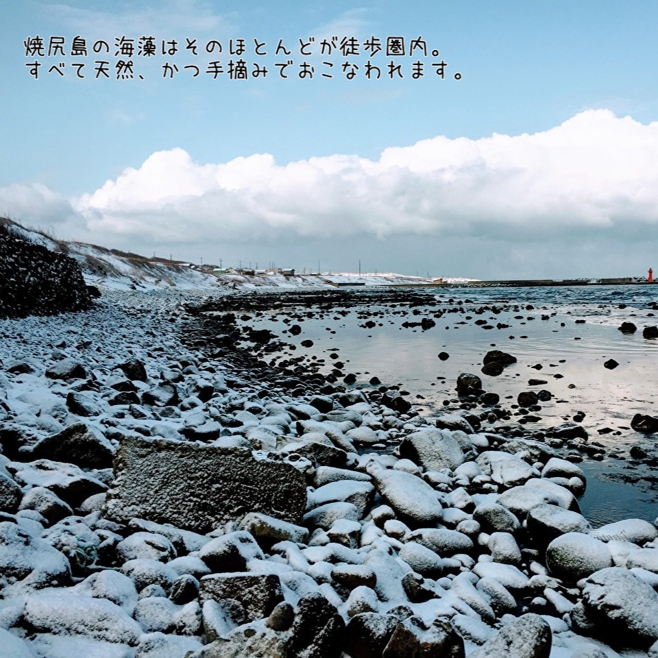 抜群の風味！焼尻島天然手摘み『岩のり 板海苔』3枚×2袋 ｜ 魚介類