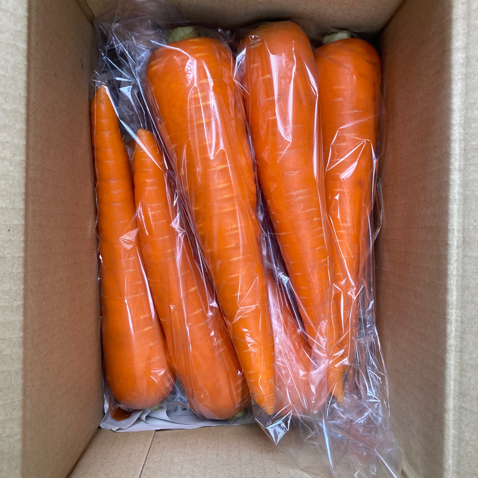 サイズいろいろ 大阪泉州産にんじん2kg ｜ 野菜/人参 産直アウル 農家