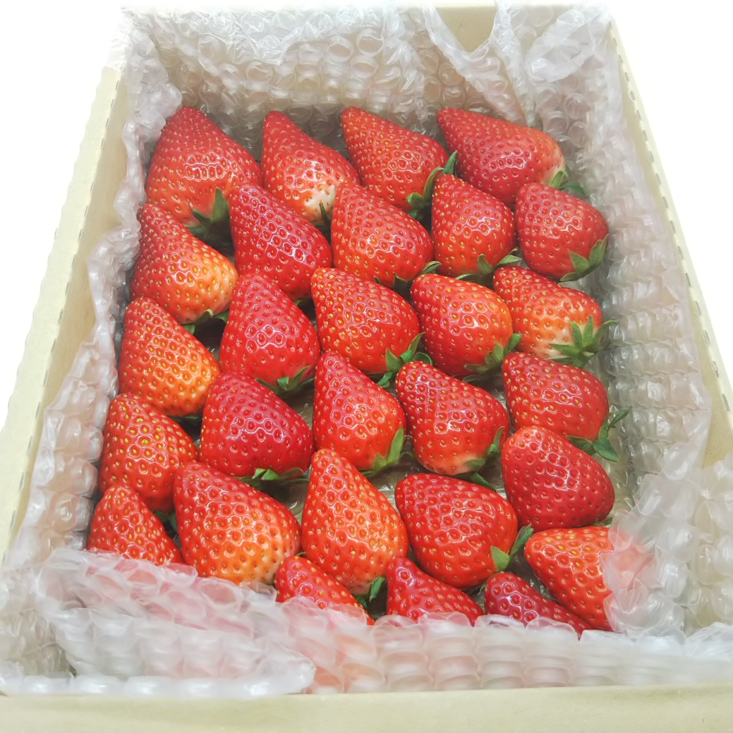 内容量約1000g】【今年はきらぴ香いちごをお届け！】【安定感抜群の