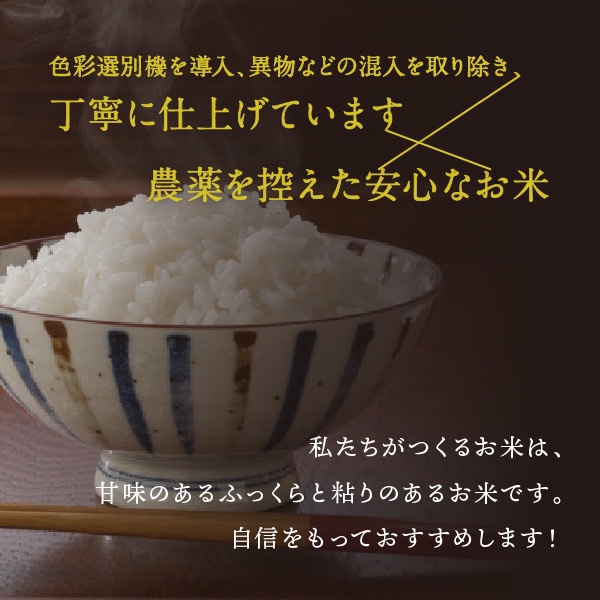 令和8年新米】多古米コシヒカリ 20kg 玄米 炊き上がりの豊潤な甘い香り