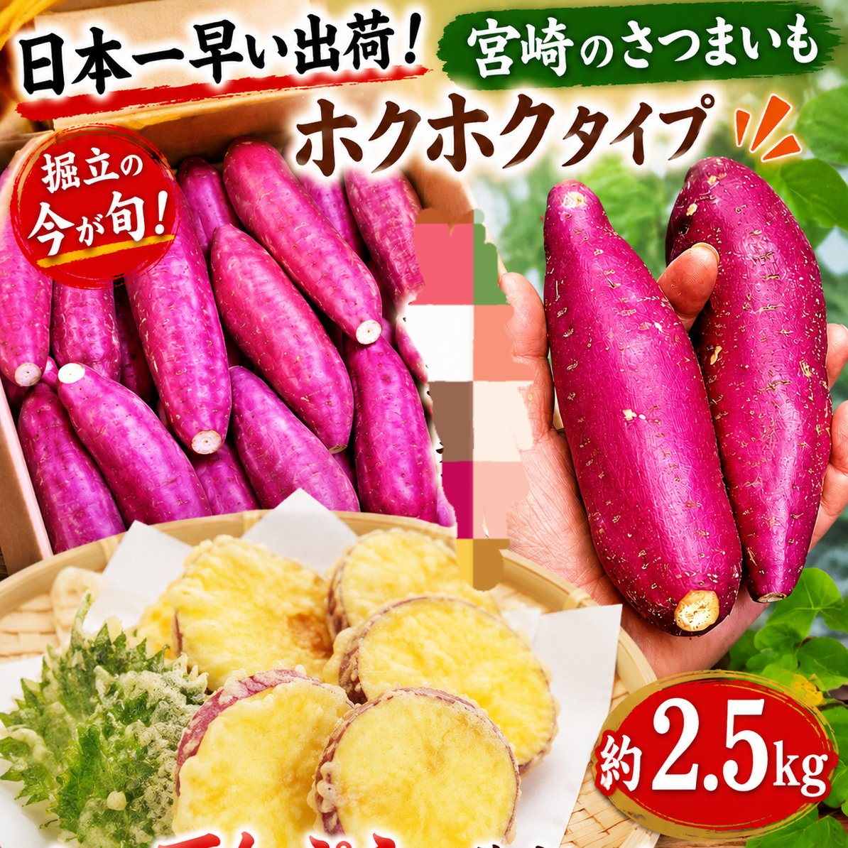 新物宮崎さつまいも2.5kg ｜ 野菜/さつまいも 産直アウル 農家・漁師