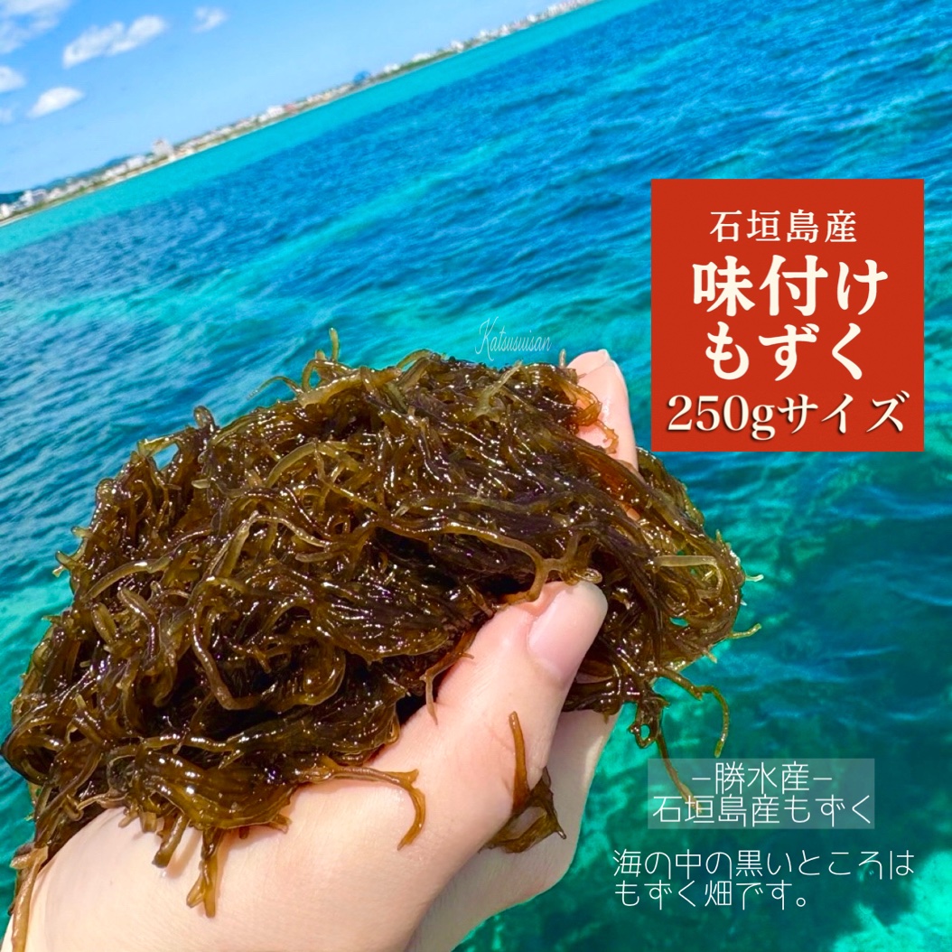初物　石垣島産塩漬けもずく　10kg 養殖】もずく 沖縄県 石垣島産 塩もずく1kg : 勝水産の石垣島