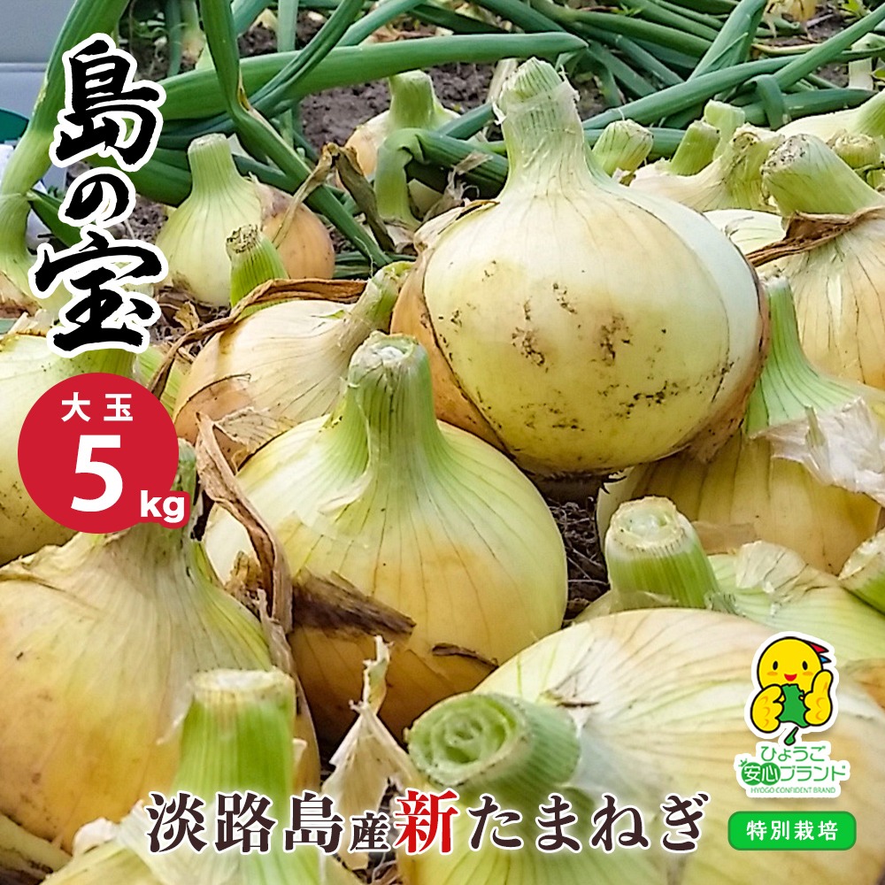 浜笑 高糖度 新玉葱 新たまねぎ ＜5kg×2箱＞淡路島産 新玉ねぎ