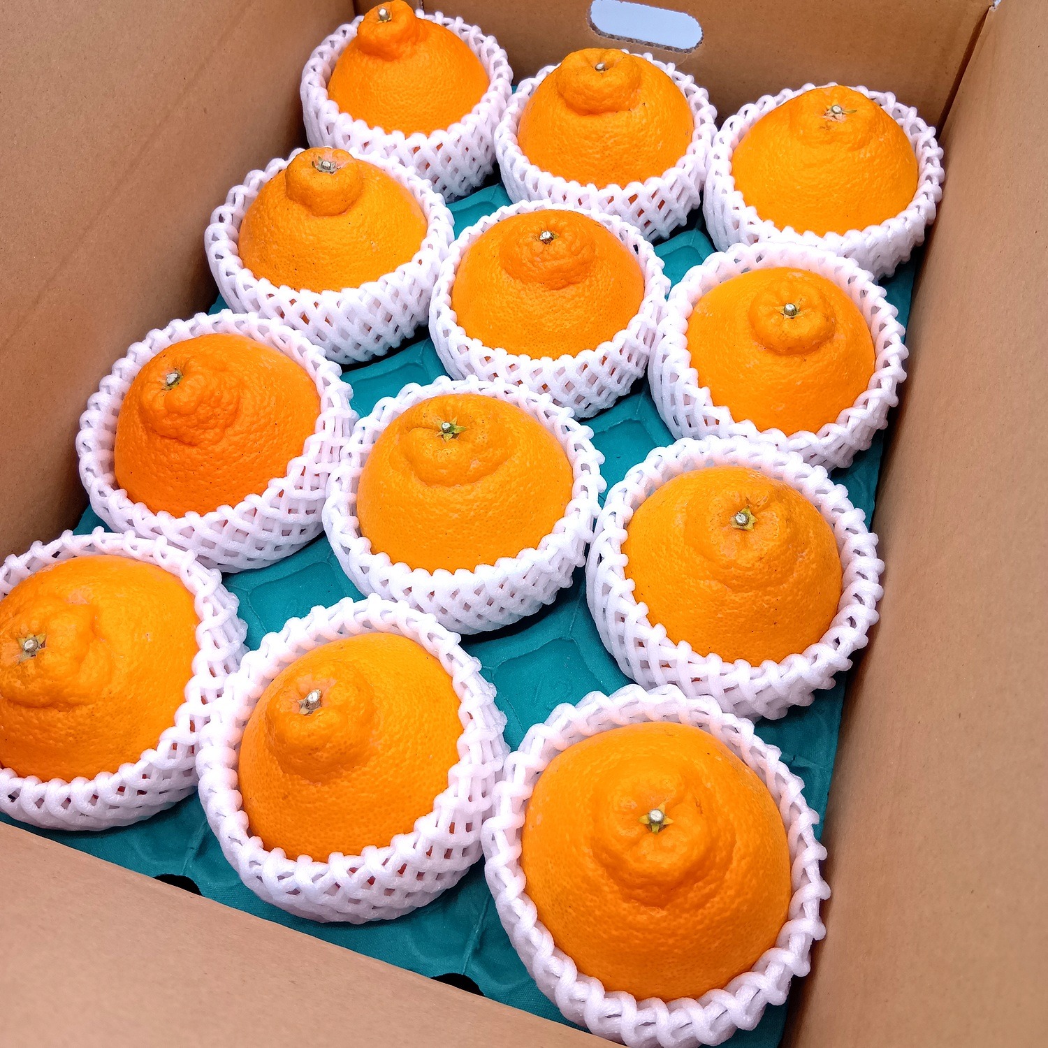 デコがポイント 不知火【小玉サイズ 贈答用 3.4～3.6kg】 | 果物