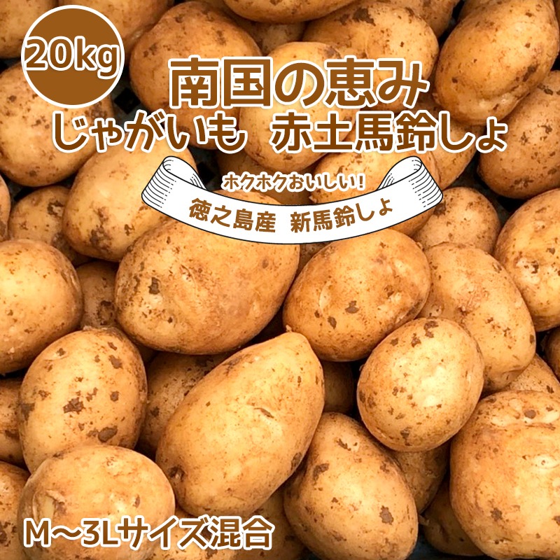 新じゃがいも 送料無料 20kg M~3Lサイズ混合 赤土 新じゃが 九州鹿児島徳之島産 にしゆたか 贈物 ギフト 長期保存 箱買い 南国野菜 南の島  産地直送 馬鈴薯 南国の恵み 新ばれいしょ じゃが芋 | 野菜/じゃがいも 産直アウル 農家から直接野菜などの食材を購入できる産地 ...