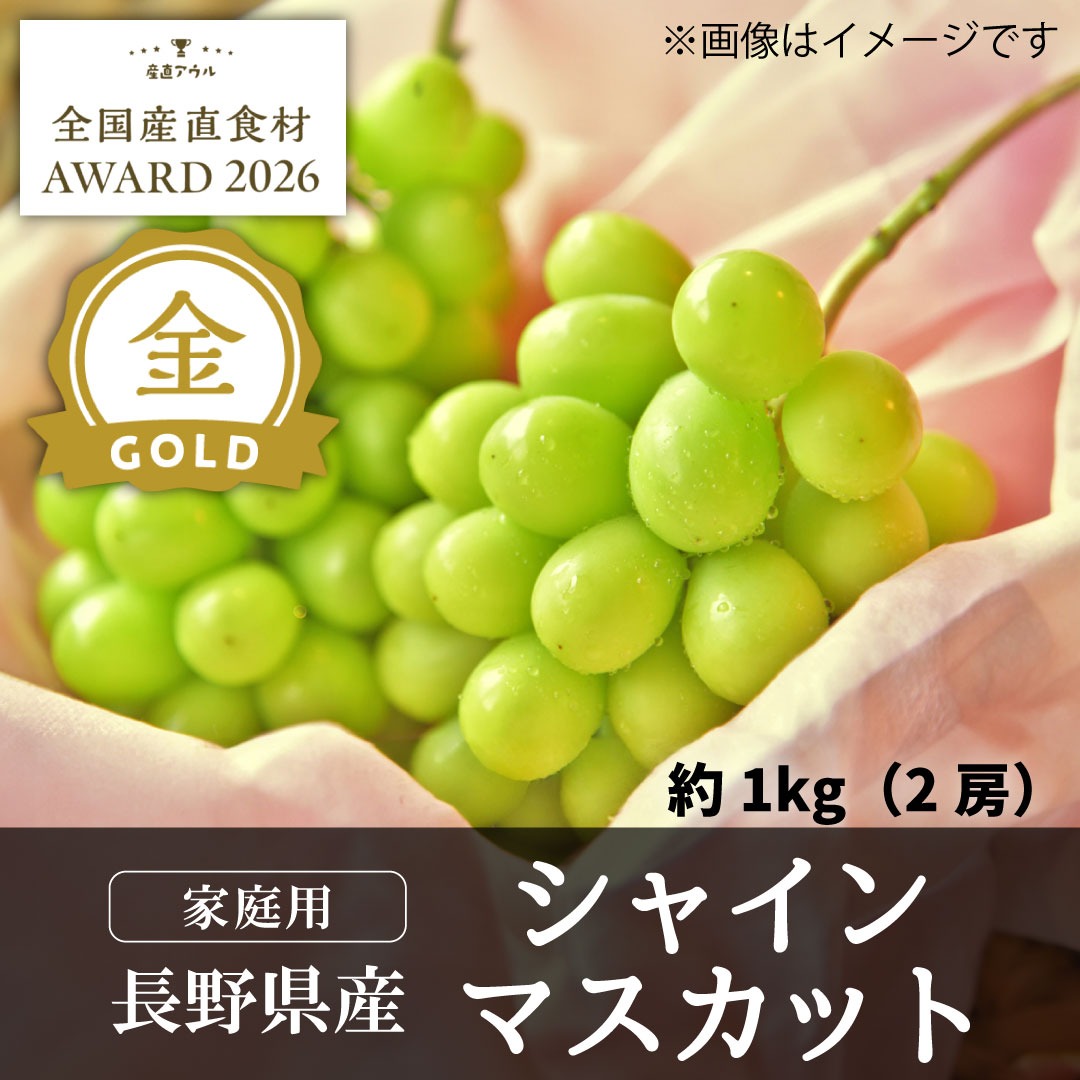 金賞】シャインマスカット1kg（2房・家庭用）／本気農場いけだ ｜ 果物