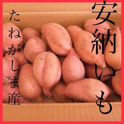 さつまいもの王道 種子島産安納芋 紅 2sサイズ4.5kg | 野菜/さつまいも