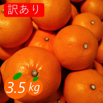 訳あり】せとか 3.5kg トロ～リ食感 柑橘の大トロ 高級柑橘 愛媛みかん