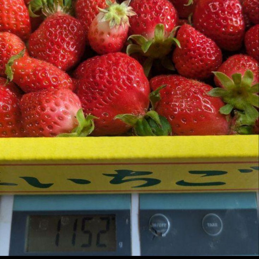 クール便】加工用いちご^^熊本限定品種!!ゆうべに ｜ 果物/いちご 産直