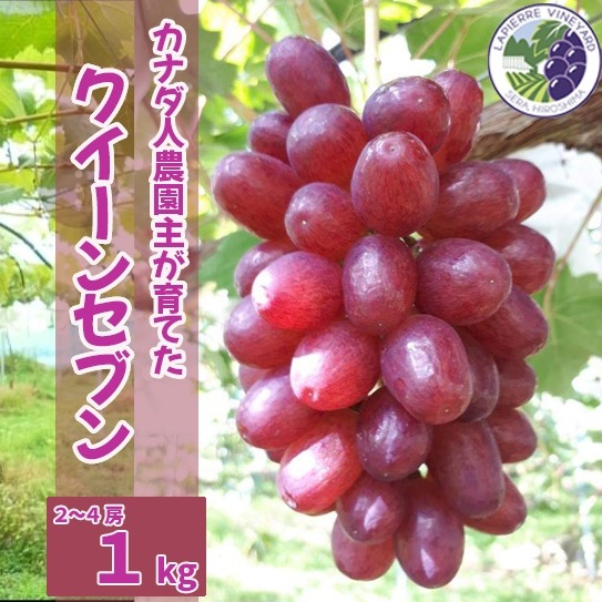 【予約用】クイーンセブン 500g、1kg 500g、1kg 【予約用】クイーンセブン
