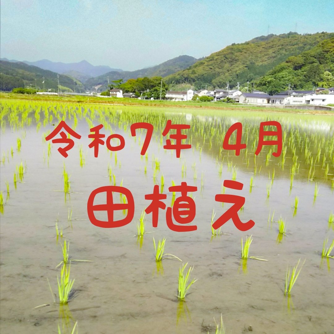令和7年産 新米 高知県産 米ぬか10㎏(袋込み) ｜ 米・穀物/その他穀物