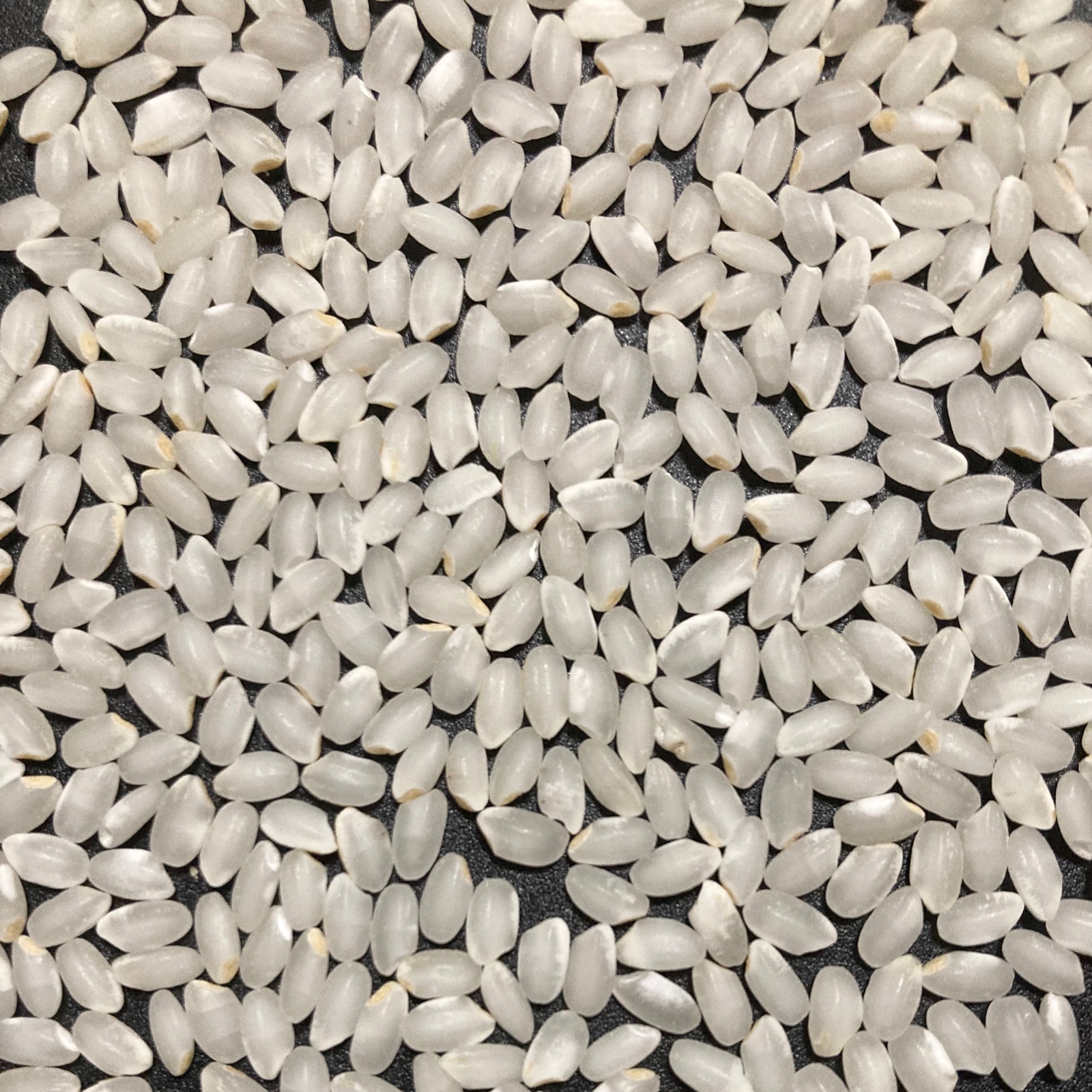 いのちの壱】精米9kg☆新米☆令和6年産 | 米・穀物/米/精米 産直アウル