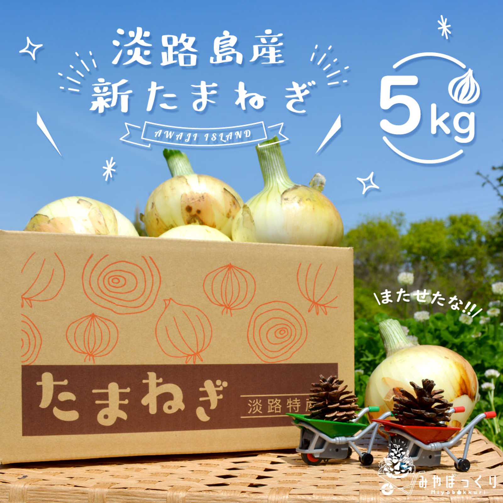 待たせたな!!》淡路島産5kg新たまねぎ ｜ 野菜/玉ねぎ 産直アウル 農家