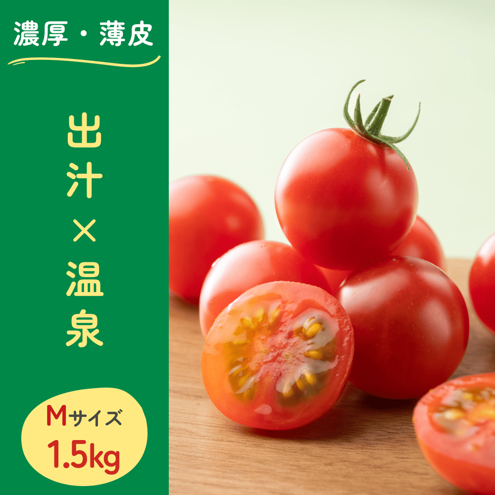飛び散る果汁にご注意を！大人の間食に大人気の濃厚ミニトマト 1.5kg