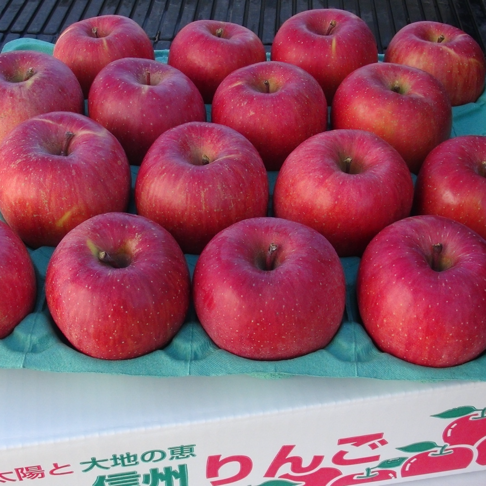 贈答用】サンふじ 約10kg（22～36個）長野県産りんご 【お歳暮】等に