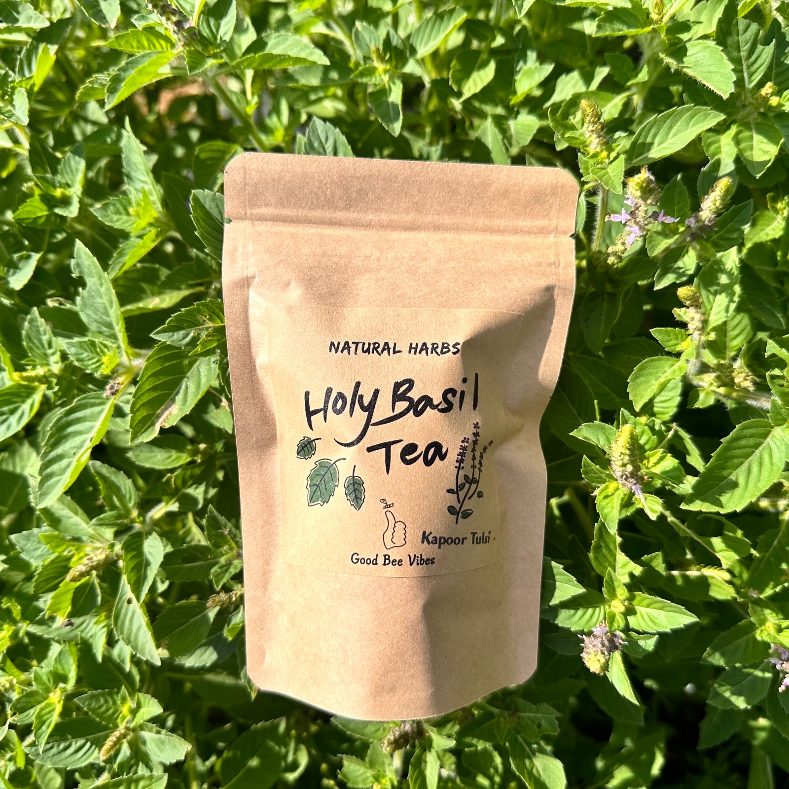 ホーリーバジルティー【カプーアトゥルシー】10包 | お茶/ハーブティー