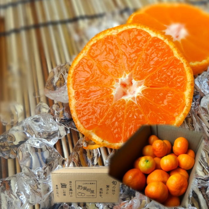 旬祭限定】極甘ハウスみかん蜜ツ星 お試し品 バラ詰め 2kg＋増量分200g