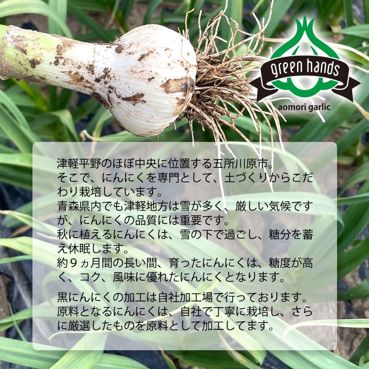 黒にんにく 500g バラ 青森県産 熟成黒ニンニク 添加物不使用 生産者
