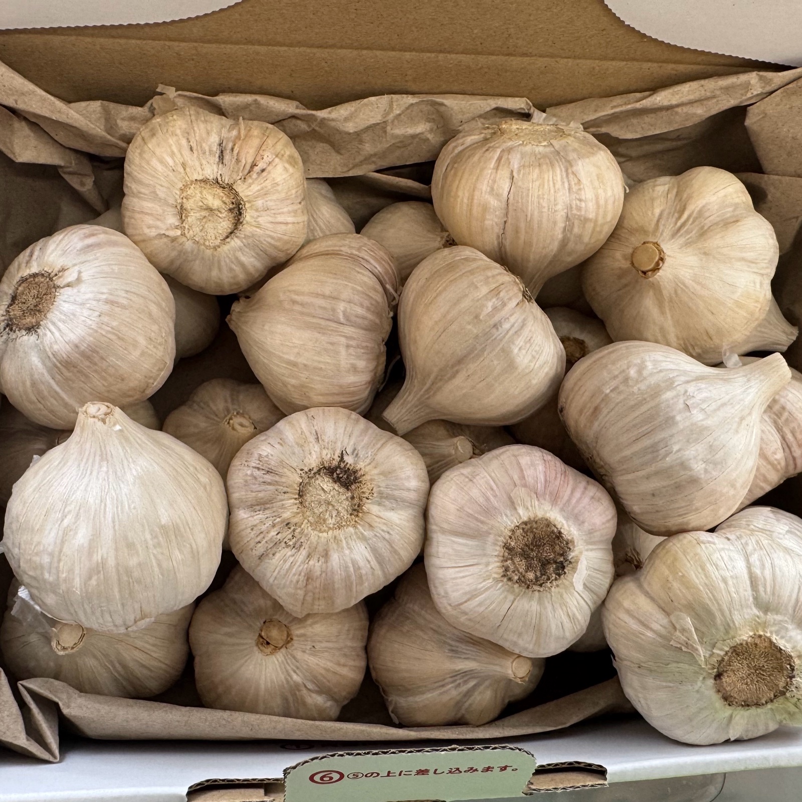 平戸にんにく 乾燥　5kg 平戸にんにく5kg ｜ 野菜/にんにく 産直アウル 農家・漁師など生産者