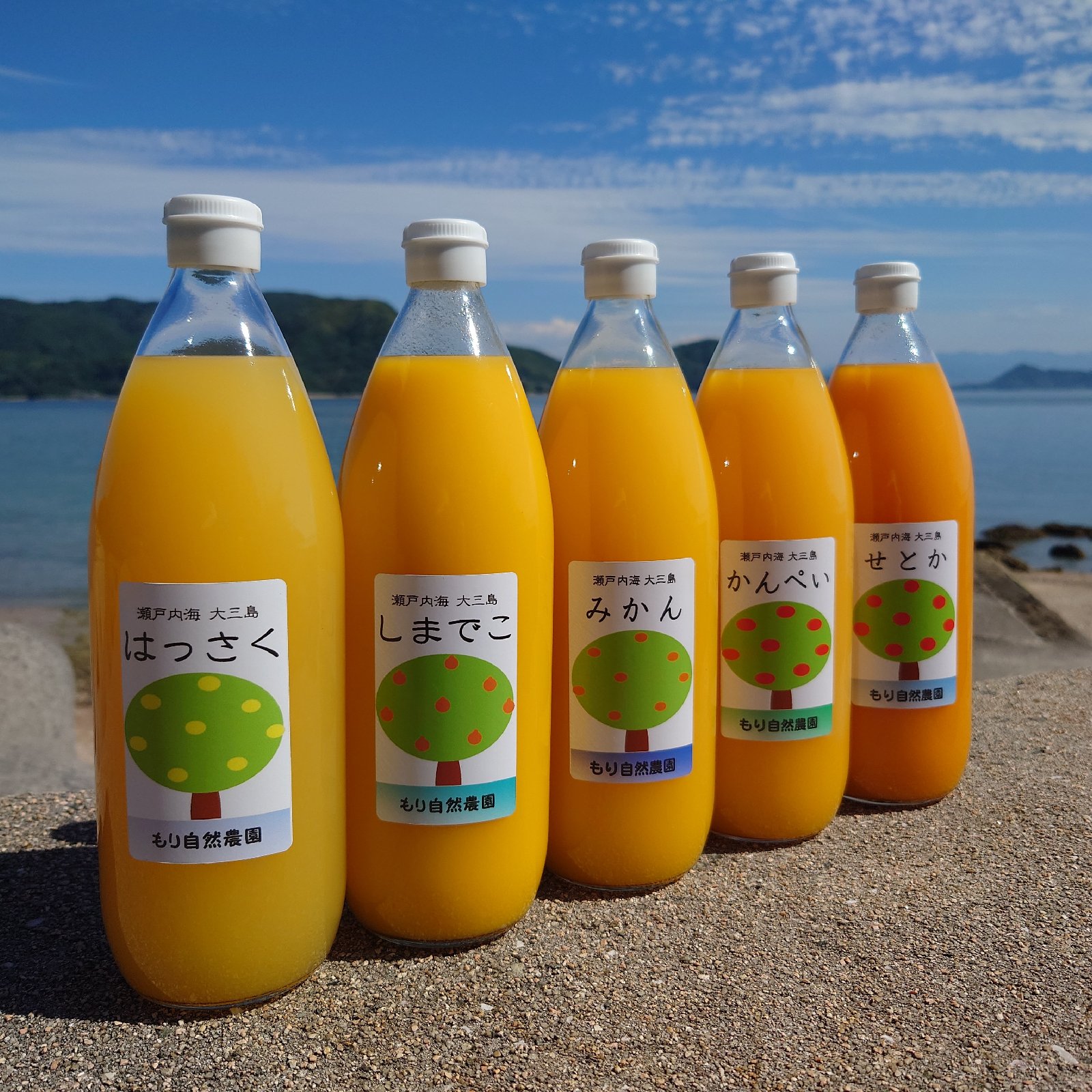 えひめ１００みかんいよかん混合 ［1000ml × ６本］✖️ ２箱 えひめ100みかんいよかん混合 えひめ100みかんいよかん混合 1000ml