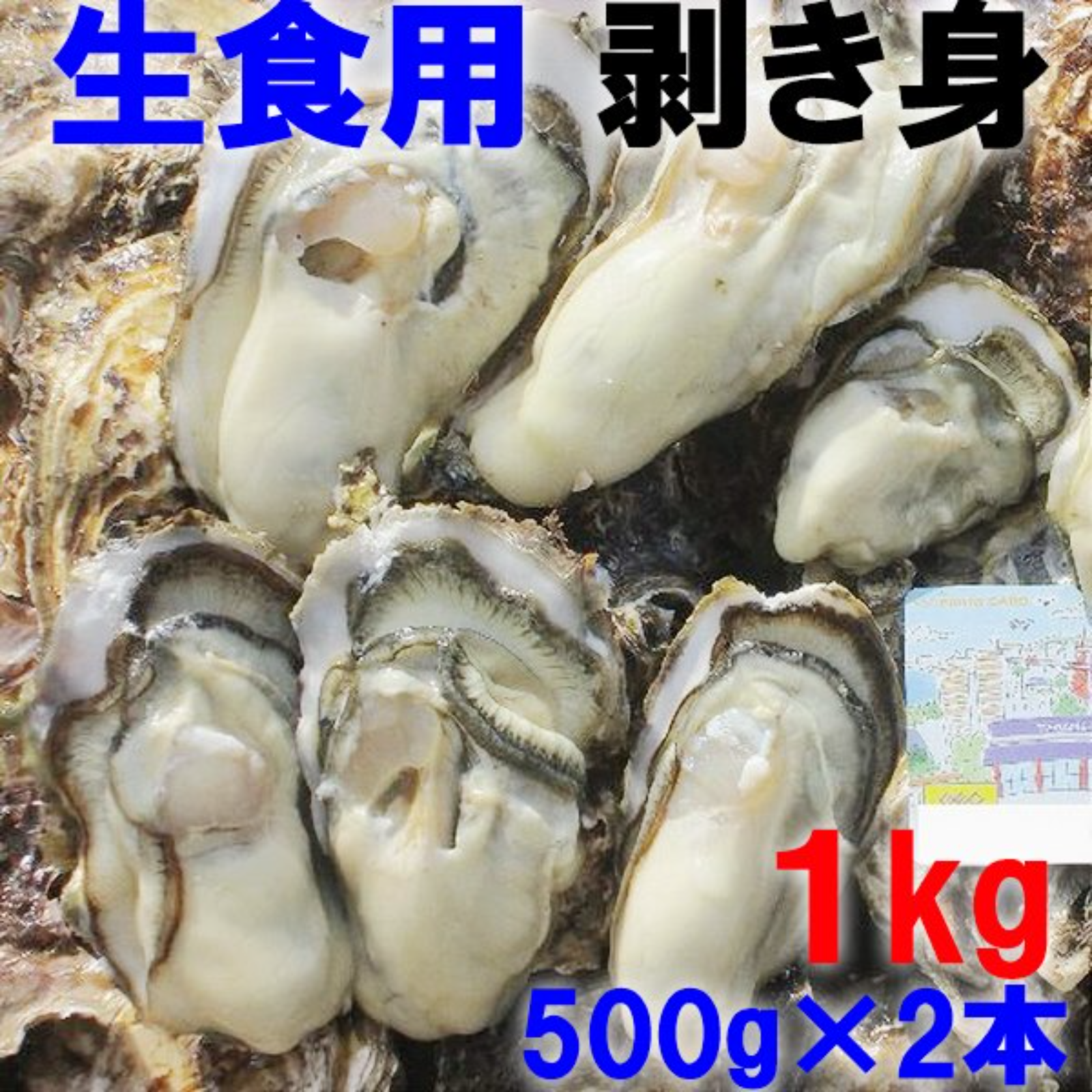 生食用 剥き身（お鍋にも可） 牡蠣 宮城県産 500ｇ×2本 カキ むき身