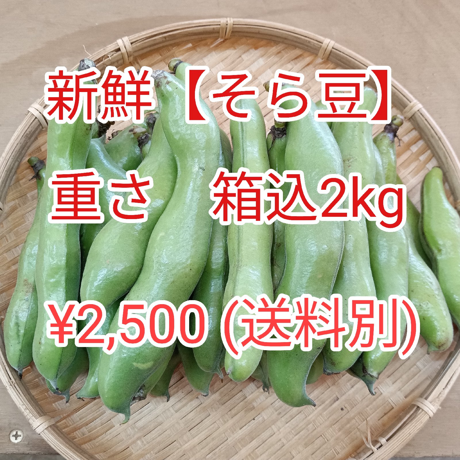 そら豆　LMS混合10kg 専用品 食品 そら豆 LMS混合10kg 専用品
