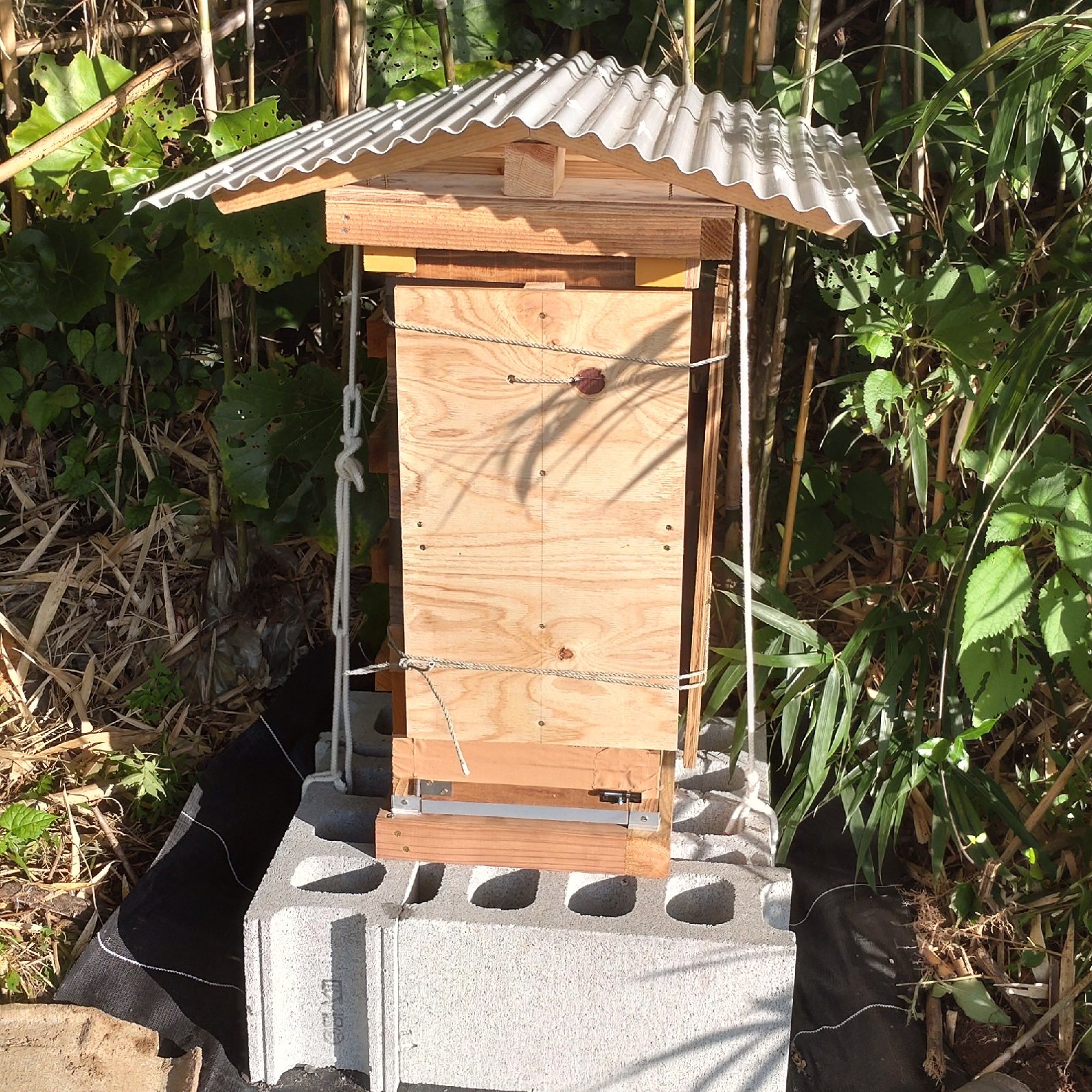 日本ミツバチ はちみつ 百花蜜 2個セット | はちみつ/はちみつ 産直