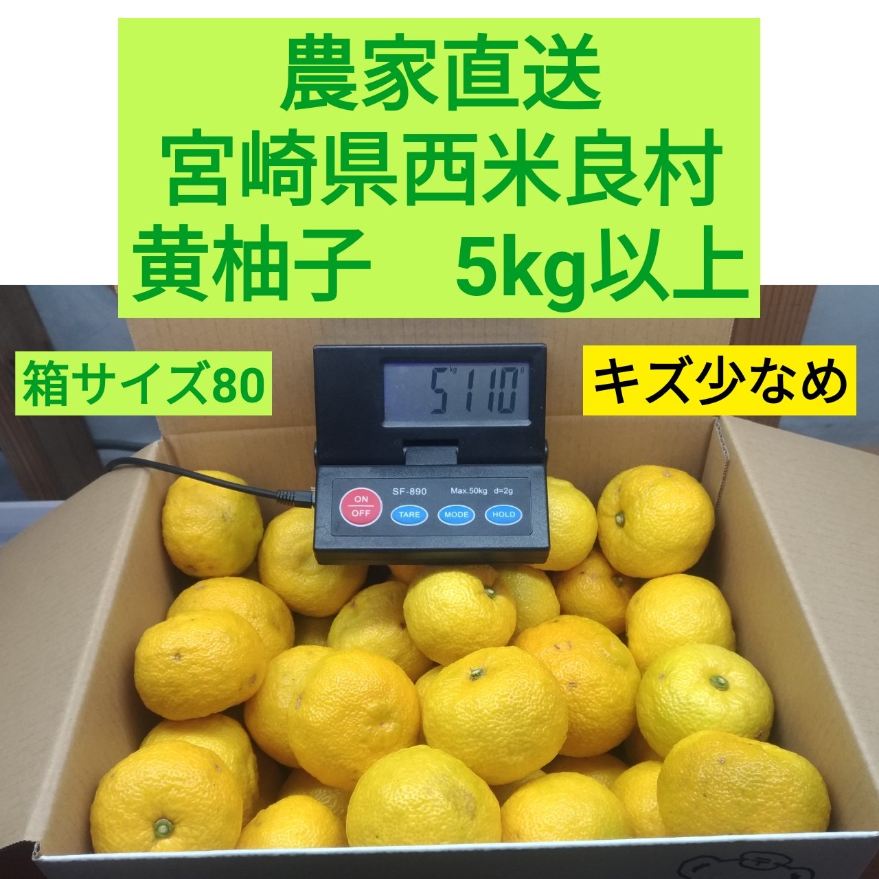 専用商品　キズ少なめ柚子５キロ 黄柚子 キズ少なめ 5kg ｜ 果物/香酸柑橘(ライム・レモン等) 産直