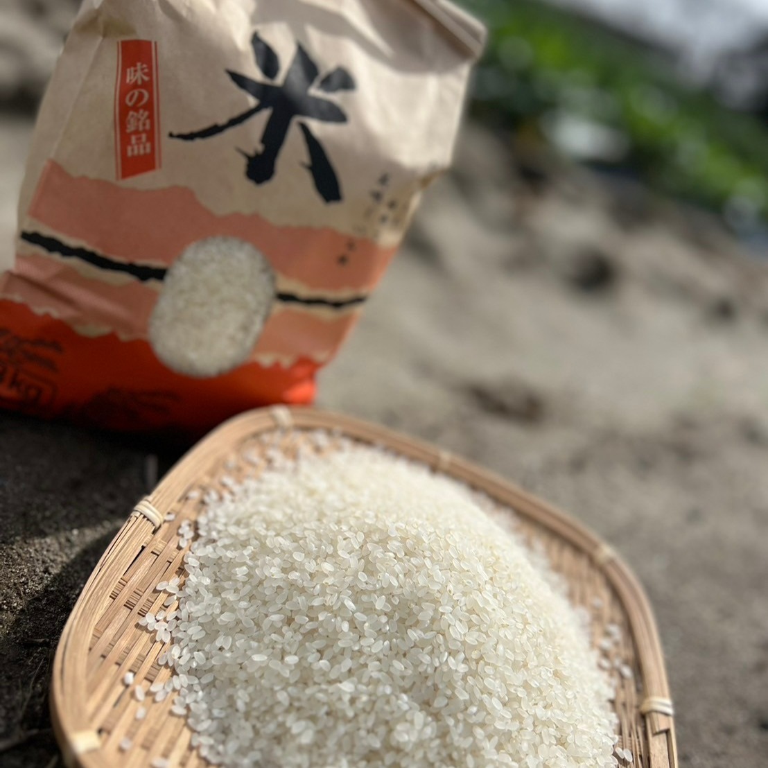 新米 静岡産　玄米　にこまる　 農家直送 栽培期間農薬：未使用品　20kg
