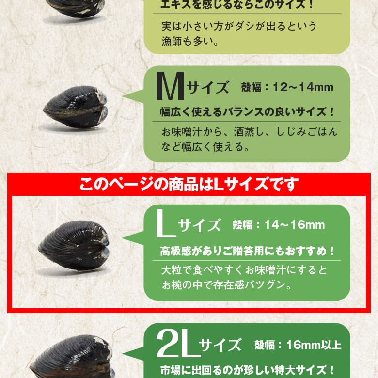 しじみ、魚取り用具 丸元水産 三重県産冷凍蜆 （シジミ） 5.6kg しじみ 魚介 貝 魚貝 海鮮