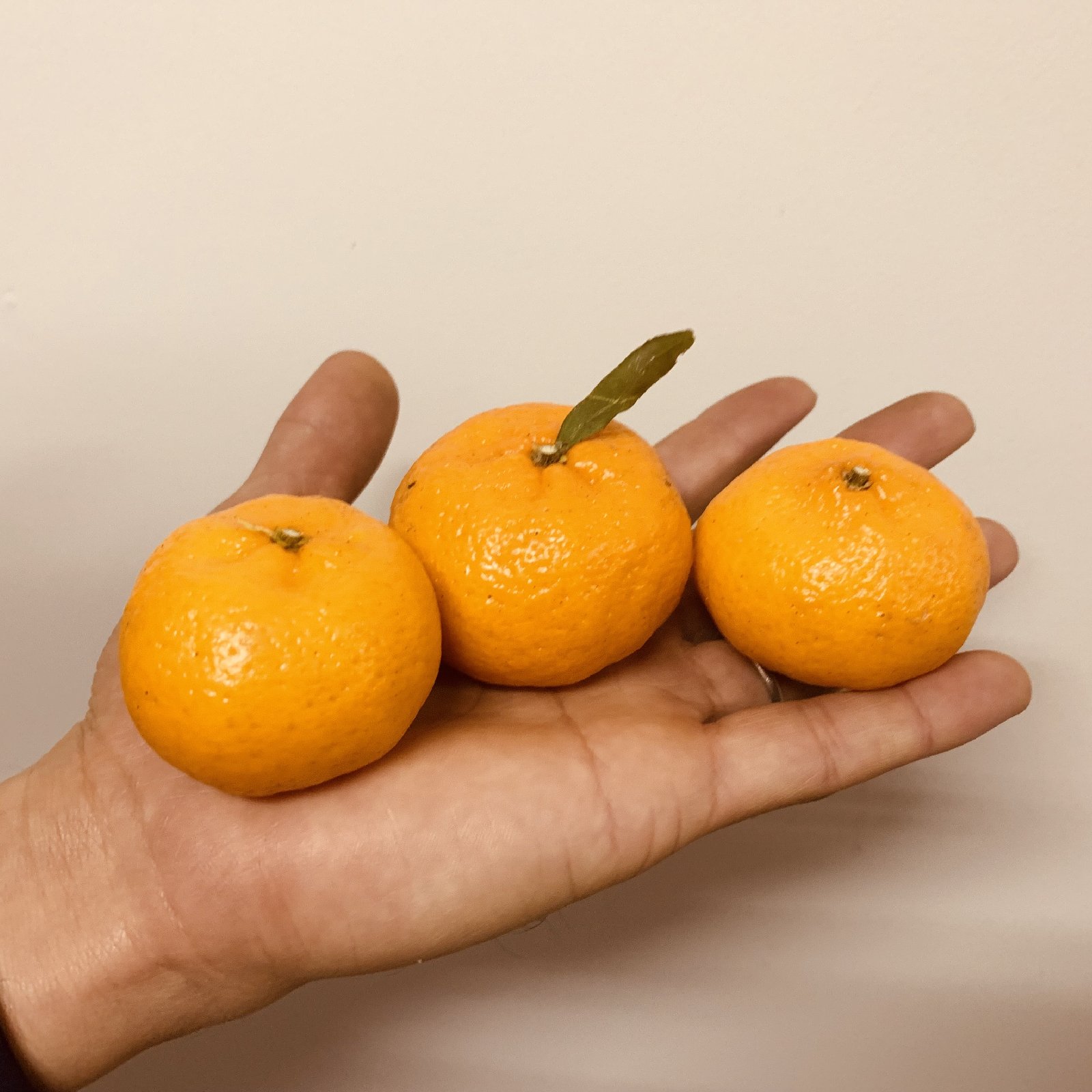 鹿児島県産ポンカン箱込み2kg ｜ 果物/オレンジ・その他みかん 産直