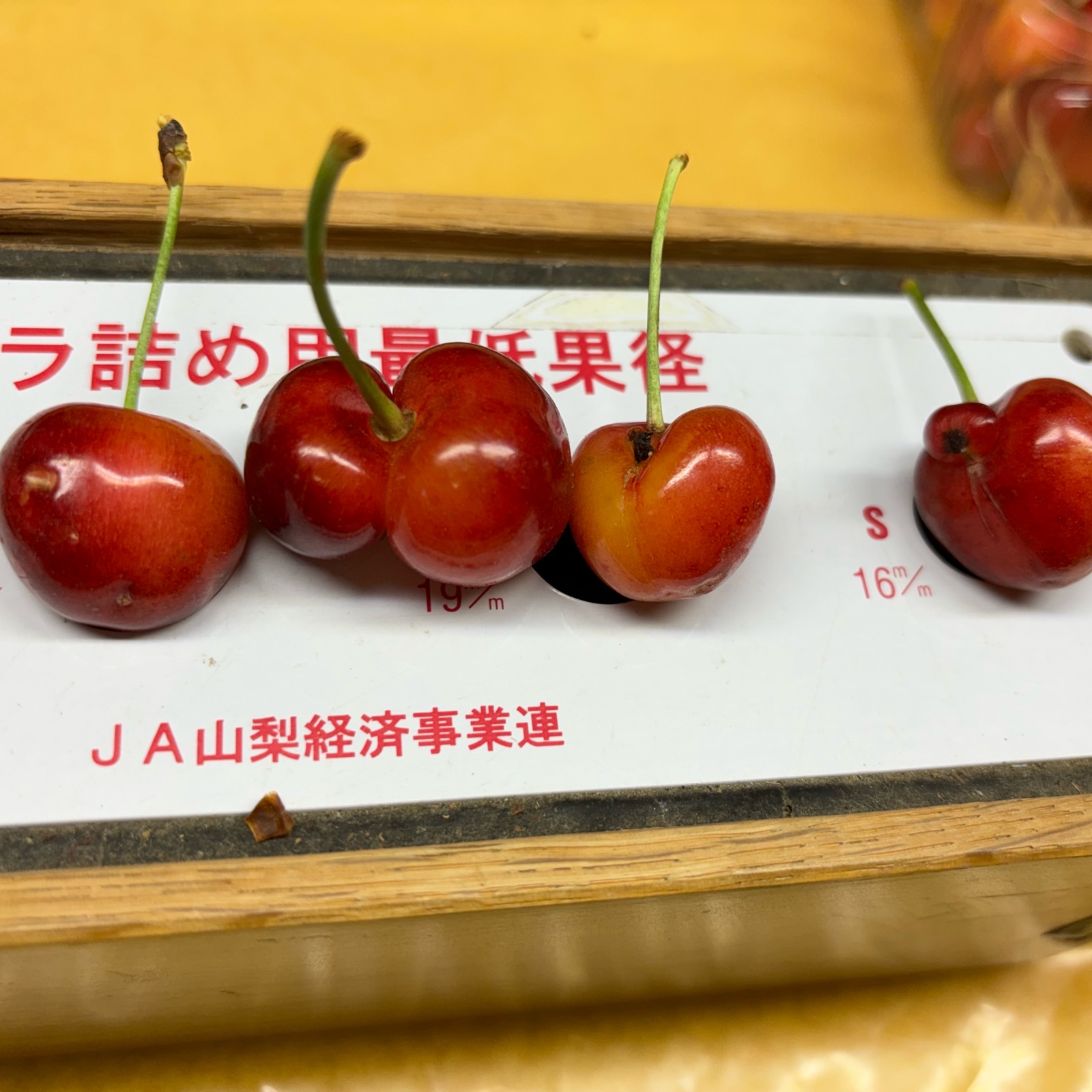 訳ありさくらんぼLASTなくなり次第終了 食品 訳ありさくらんぼLASTなくなり次第終了