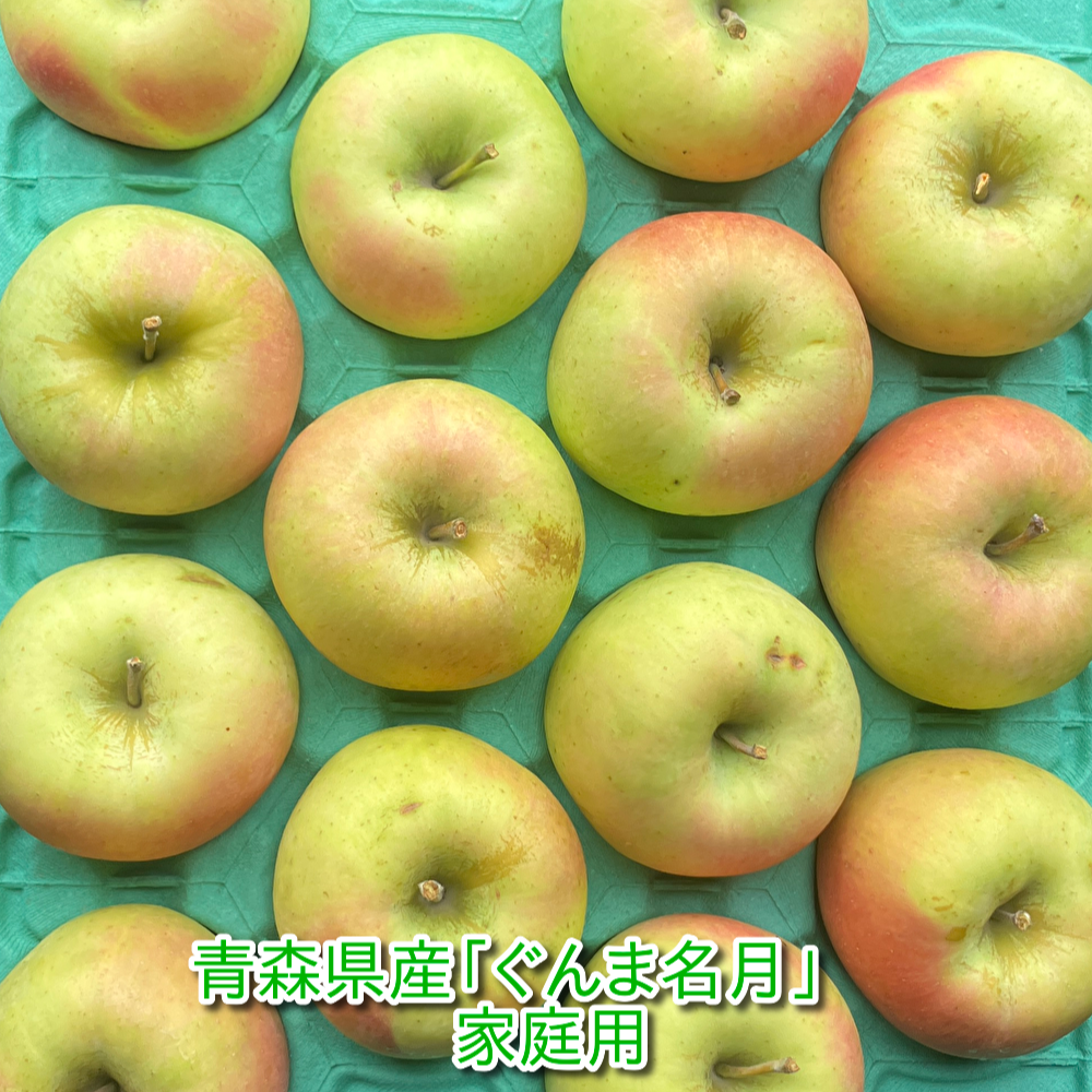 青森県産りんご「ぐんま名月」家庭用 キズ有 約5kg【甘い！】 | 果物
