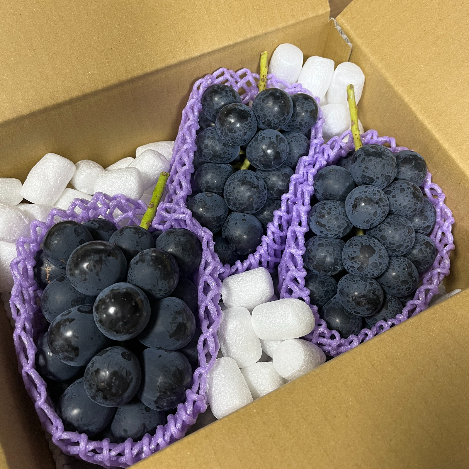 長野県産 ナガノパープル 10パック 1パック約330g ※クール便発送 楽天