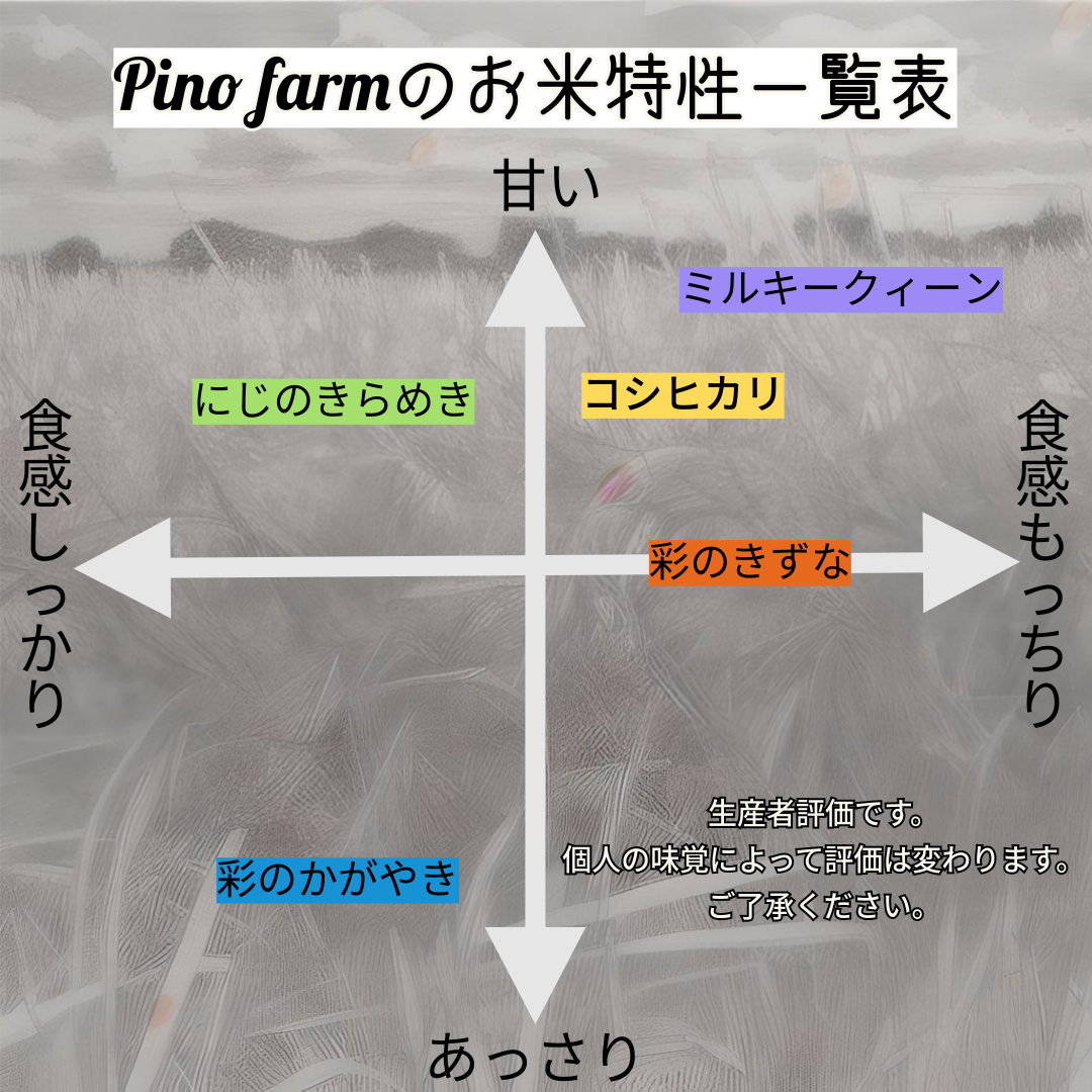 R6年産 特別栽培米 彩の国 彩のかがやき 2㎏×1袋 ｜ 米・穀物/米/精米