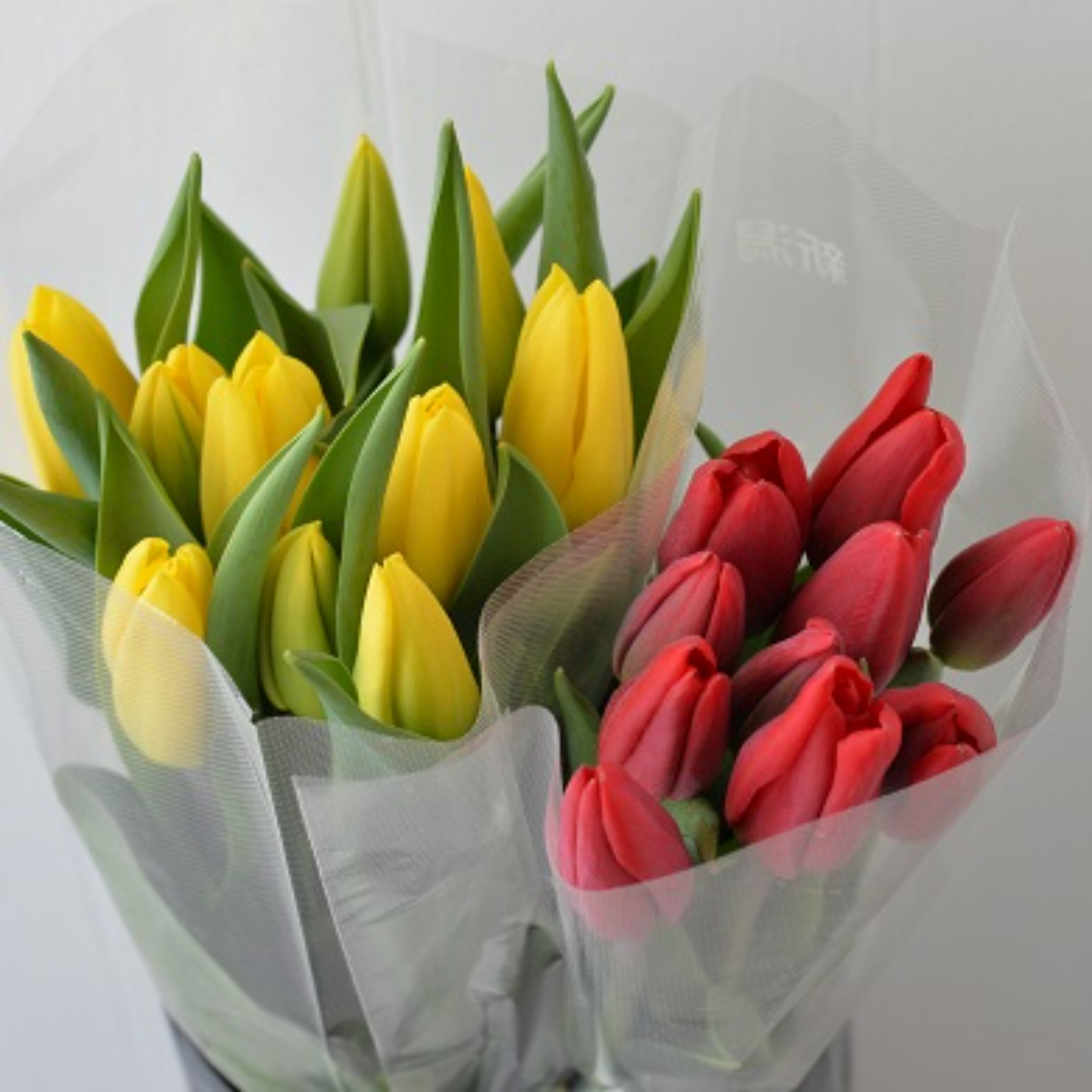 FEB.21 チューリップ☆切り花セット