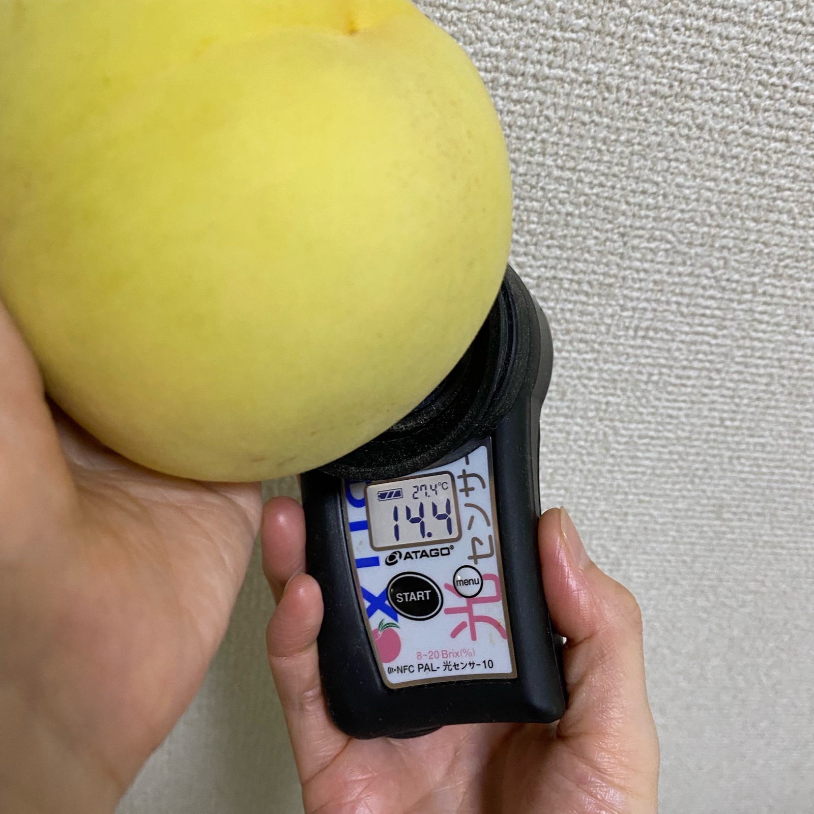 お中元・ご進物】岡山特産 清水白桃 厳選ギフト 芳醇仕立て ｜ 果物/も
