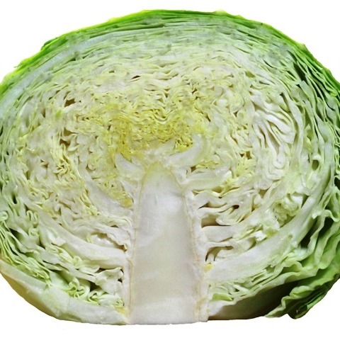 納豆菌栽 淡路島甘蜜キャベツ きゃべつ3個～4 ｜ 野菜/キャベツ 産直