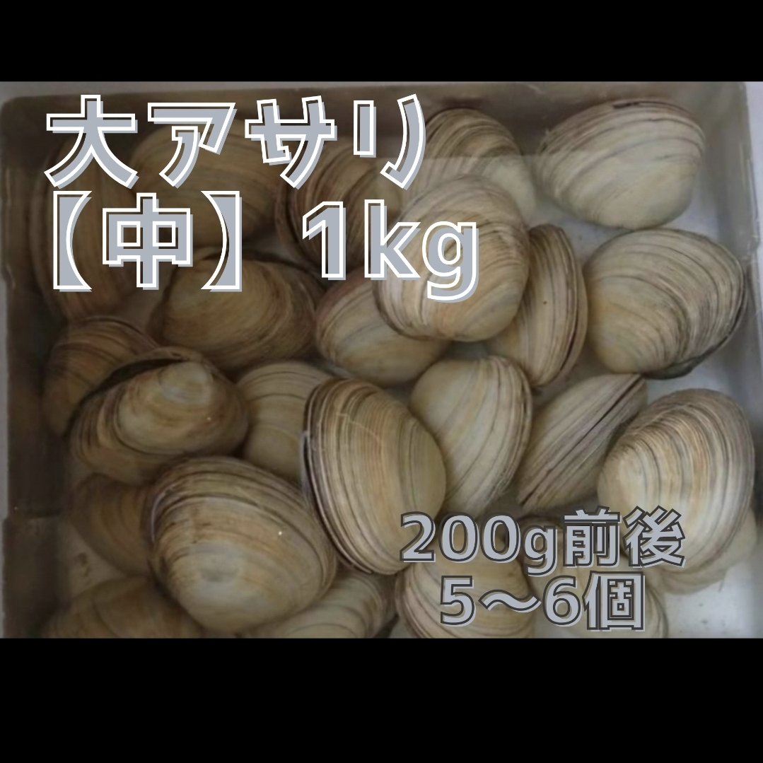 あさりあ様　お取置き 冬ギフト】日間賀島産 大アサリ（ウチムラサキ）1.2kg｜12切 ｜下処理