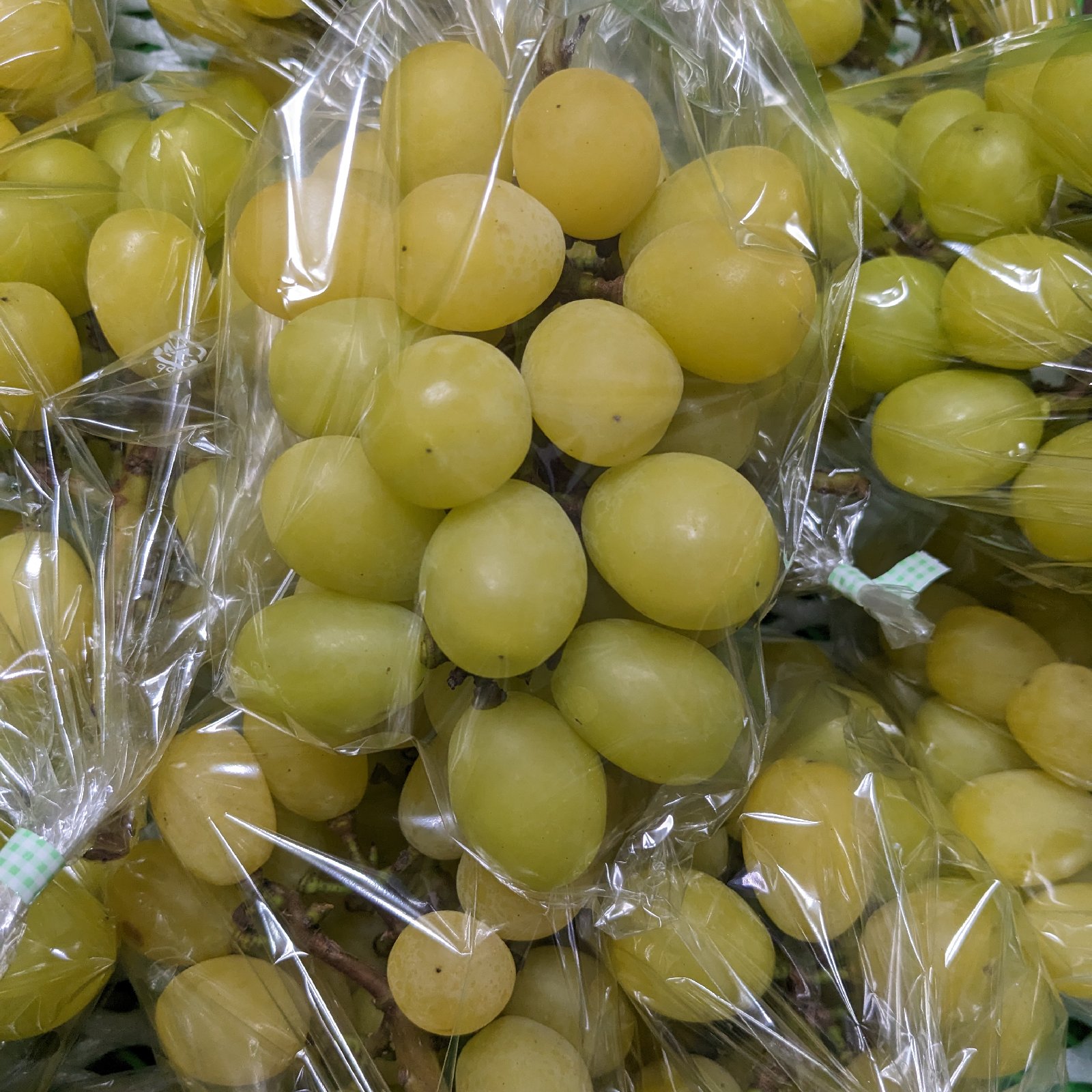 完熟黄色のゴールデンシャインマスカット 約4キロ ｜ 果物/ぶどう 産直