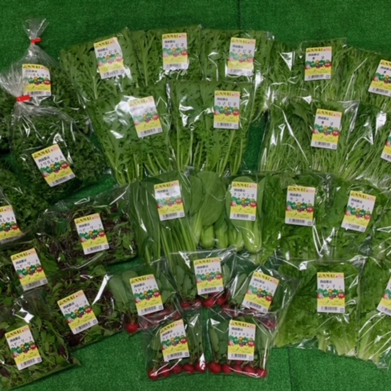 出荷直前に収穫 旬の野菜お任せ5袋 野菜 セット 詰め合わせ 産直アウル 農家から直接野菜などの食材を購入できる産地直送の宅配通販サイト