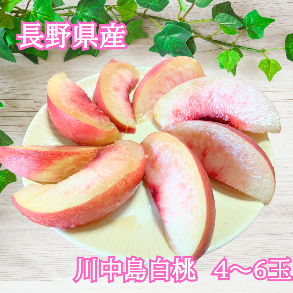 【専用出品 snoopy様】 『川中島白桃』 赤秀 12玉 4kg up×2箱 川中島白桃4～6玉 ギフトボックス 【信州川中島産】 ｜ 果物/もも