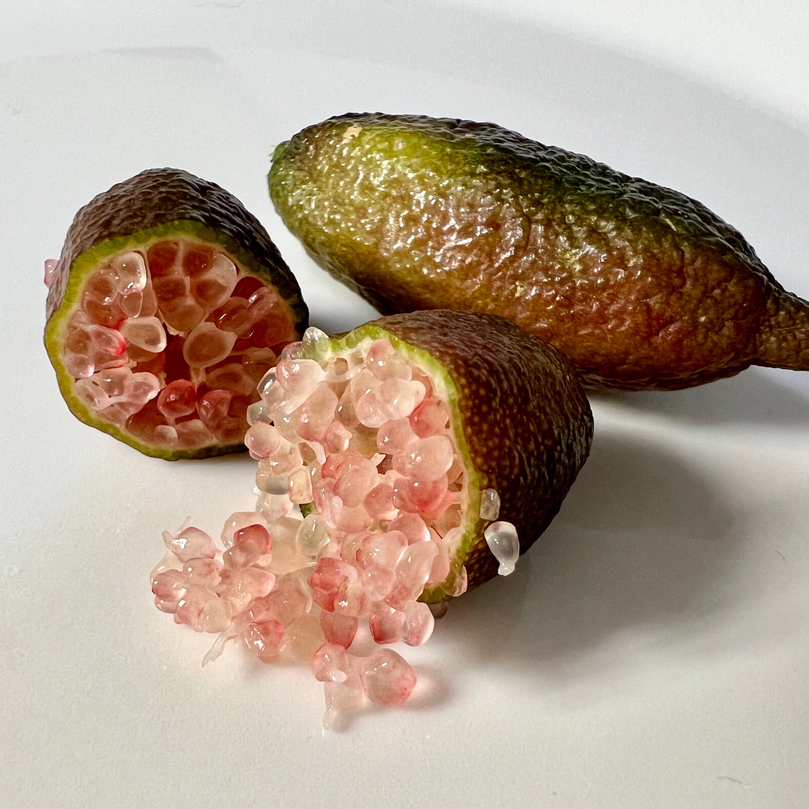 フィンガーライム果実 国内生産 2キロ即日発送 山形県産フィンガーライム | 果物/香酸柑橘(ライム・レモン等) 産直