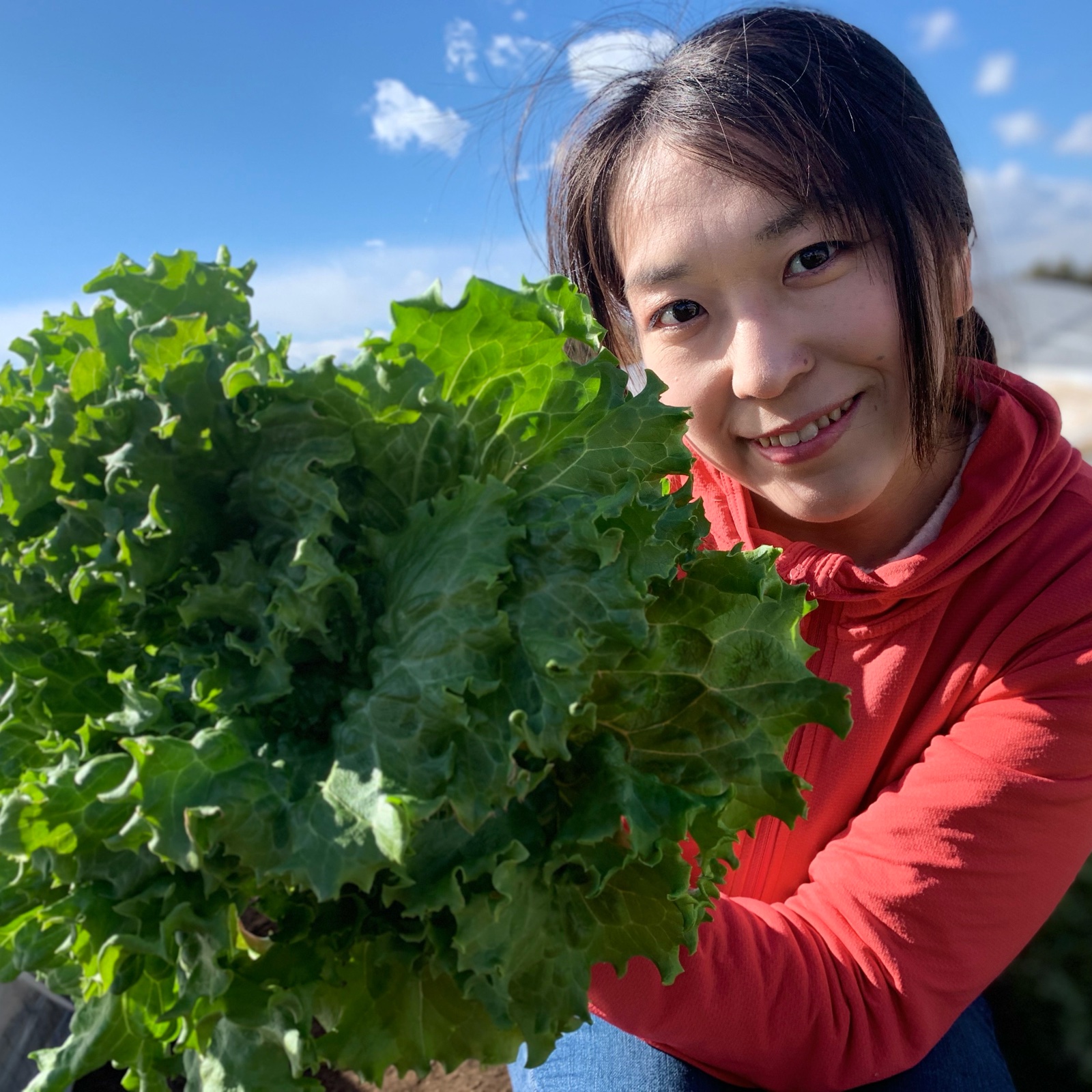 きりちゃんショッピング（茨城県・常総市）｜生産者詳細｜産直アウル