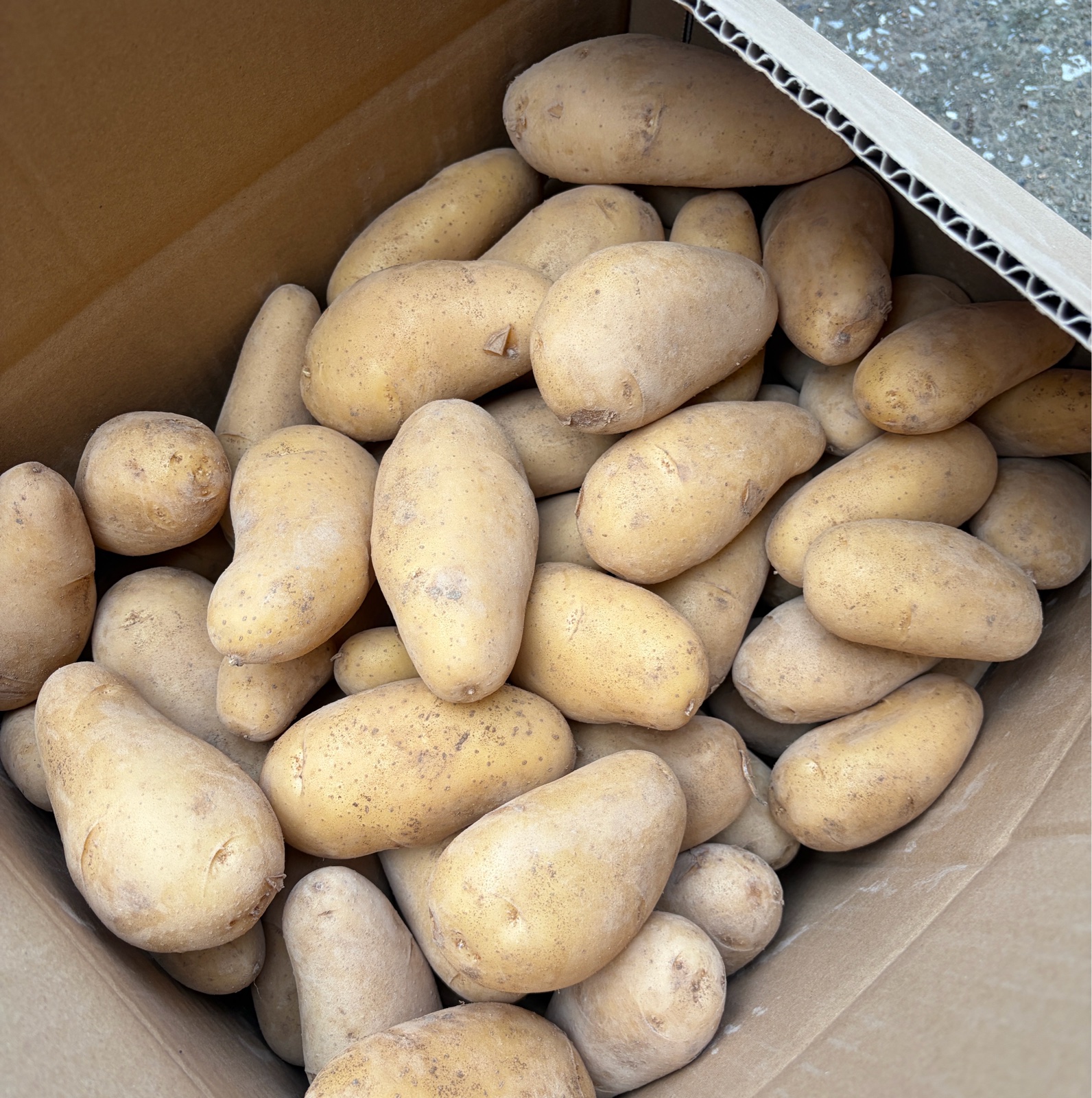 じゃがいも 長崎県産 ホクホク甘い！農家直送じゃがいも 3kg ｜ 野菜/じゃがいも