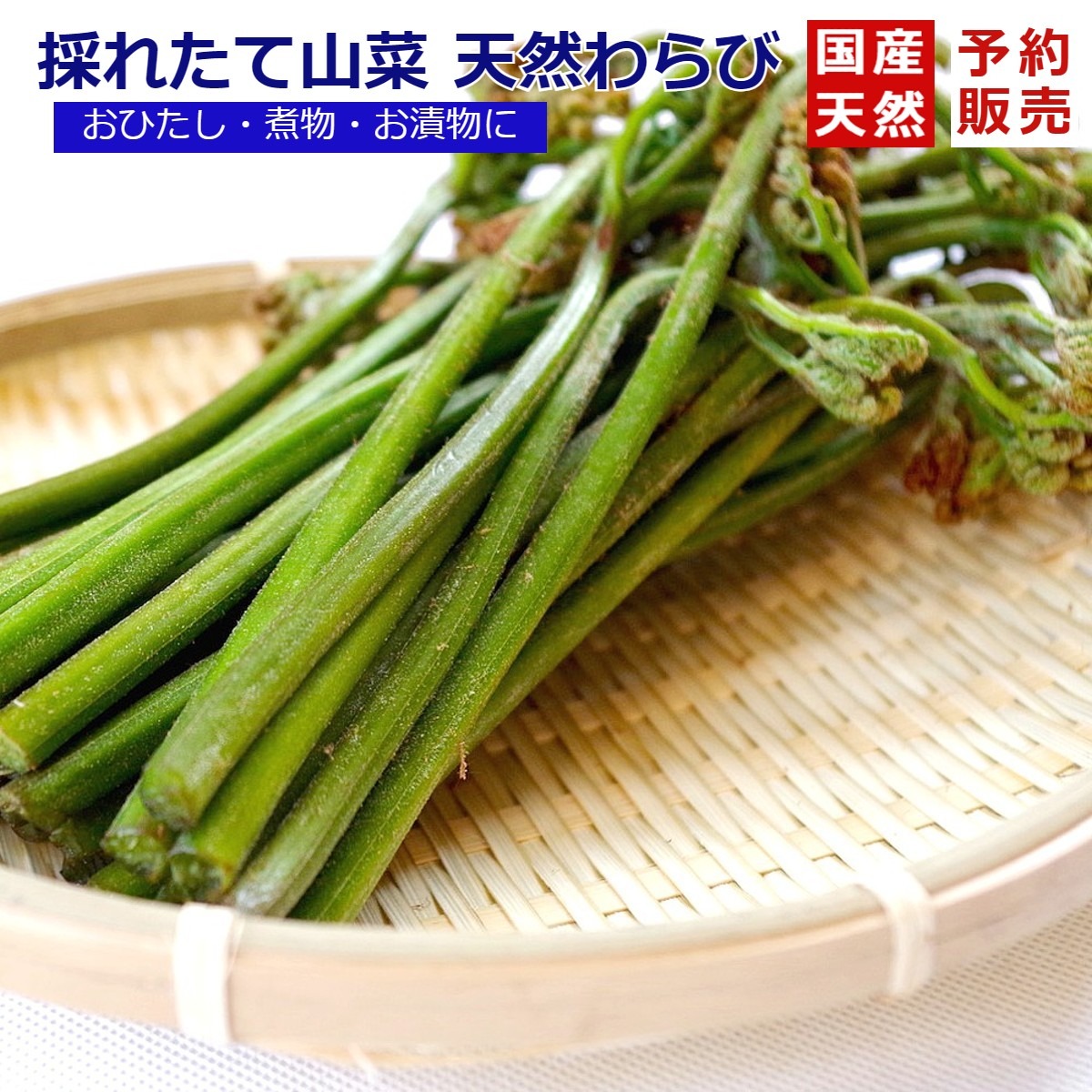 山菜 3kg 採れたて山菜天然わらび3kgわらび漬・おひたし等で《予約受付