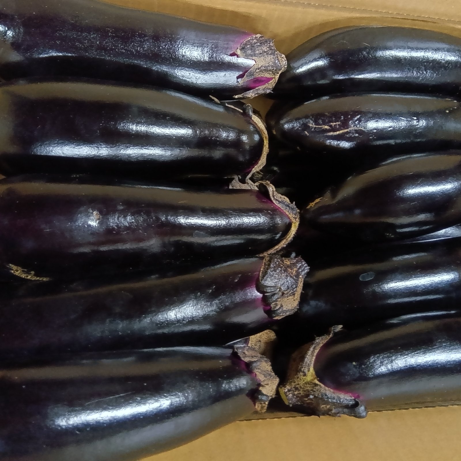 食品 長なす 農家直送 箱込み約24キロ