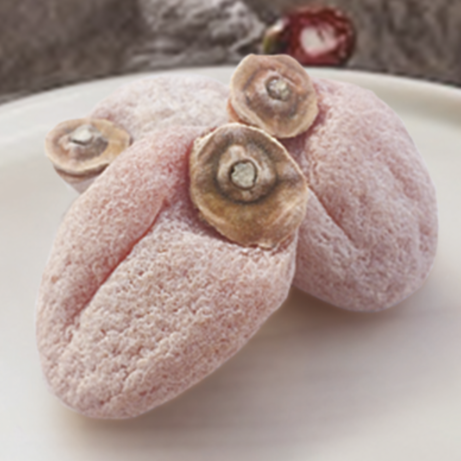 南信州産市田柿　約20kg 南信州産市田柿 約20kg(10袋はやや硬め) 【公式通販】