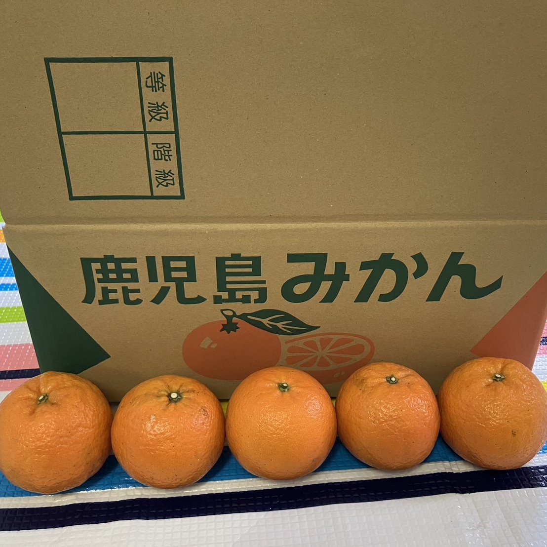 512新鮮台湾ナツメ、ロンガン、マンゴスチン、リンゴ、さくらんぼ、美娘柑橘贈答可 せとか 1.8kg 柑橘の 大トロ 贈答用 特選 矢野青果 高級柑橘 秀品 贈答